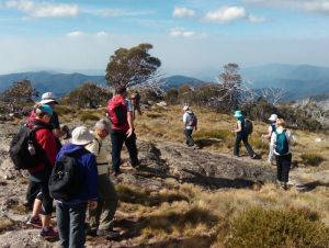 Hedonistic Hiking - VIC Tourism